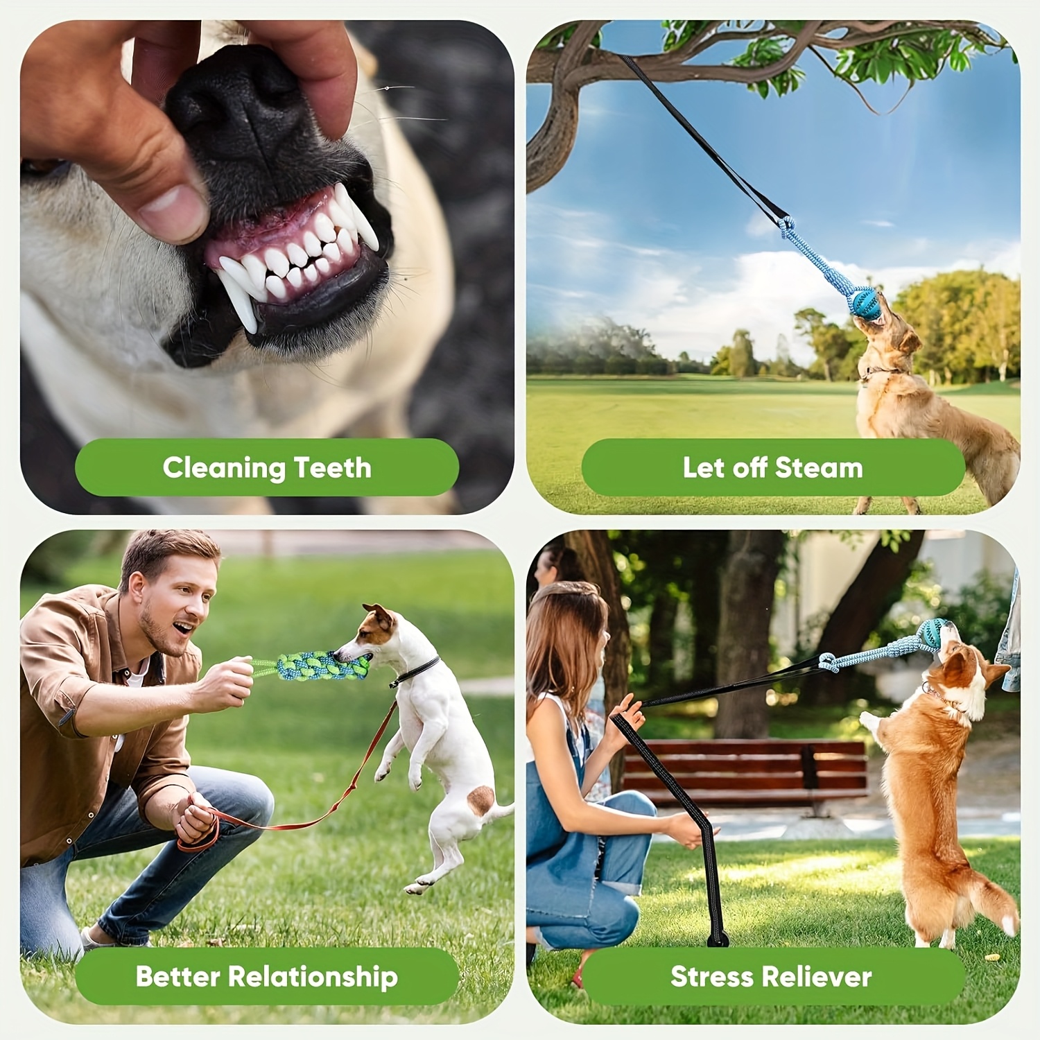 Dog Bungee Toy, Interactive Do - Headcollar Rope Set ulasan dan harga