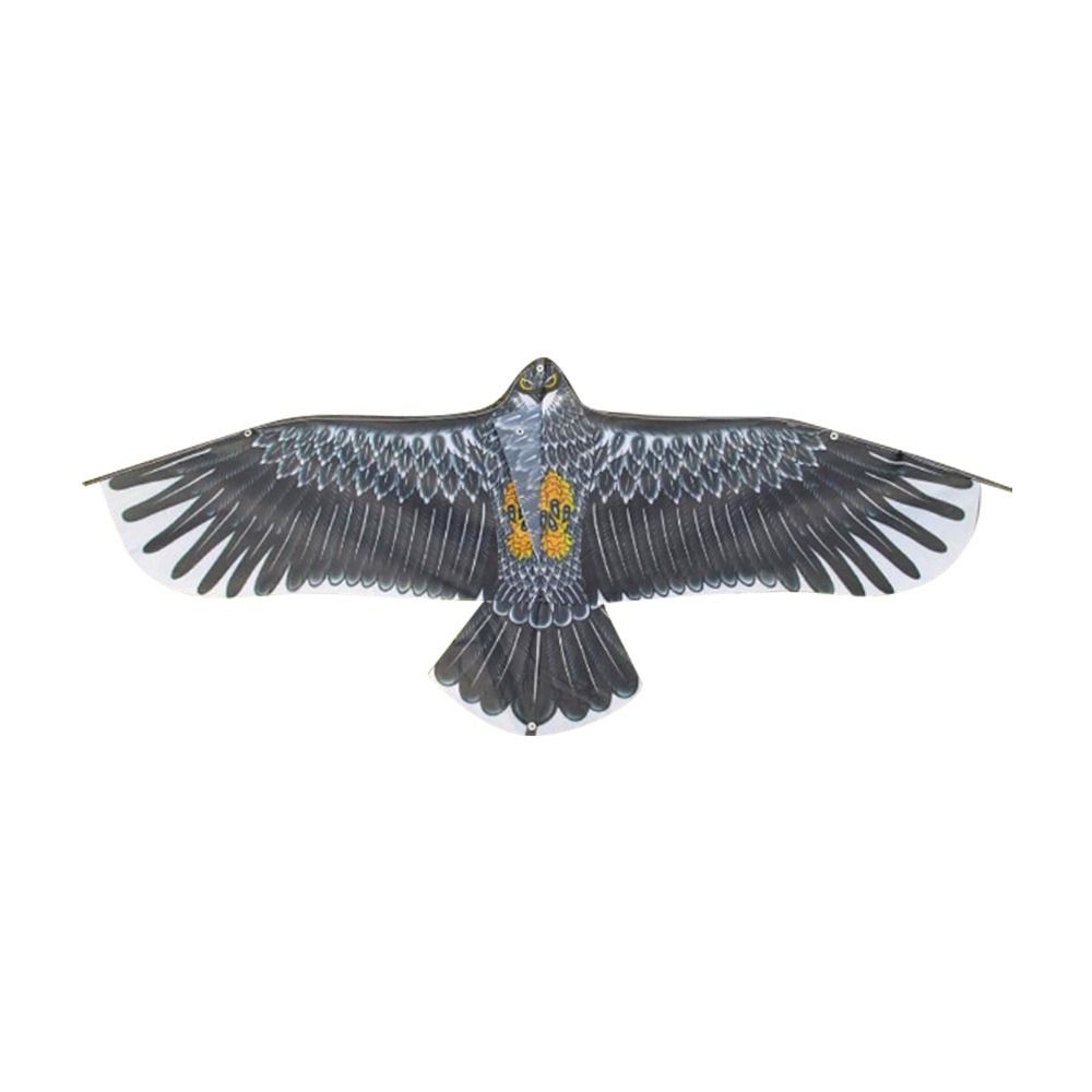 1.1m Eagle Kite With 30m Kite  - Outdoor Sports Accessories ulasan dan harga