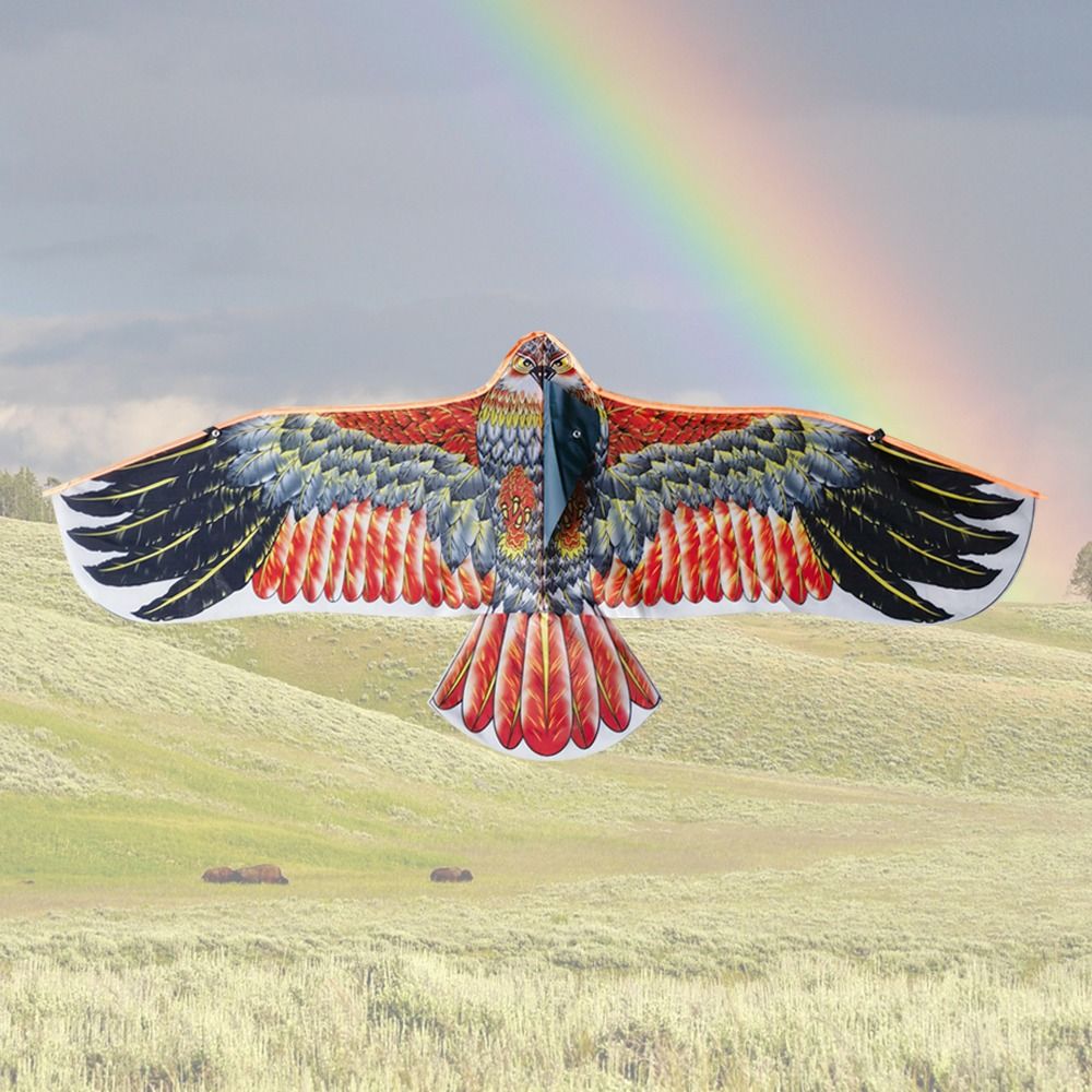 1.1m Eagle Kite With 30m Kite  - Outdoor Sports Accessories ulasan dan harga