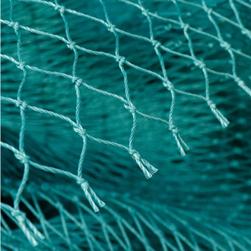 Solid Anti Bird Netting Garden - Outdoor Sports Net ulasan dan harga